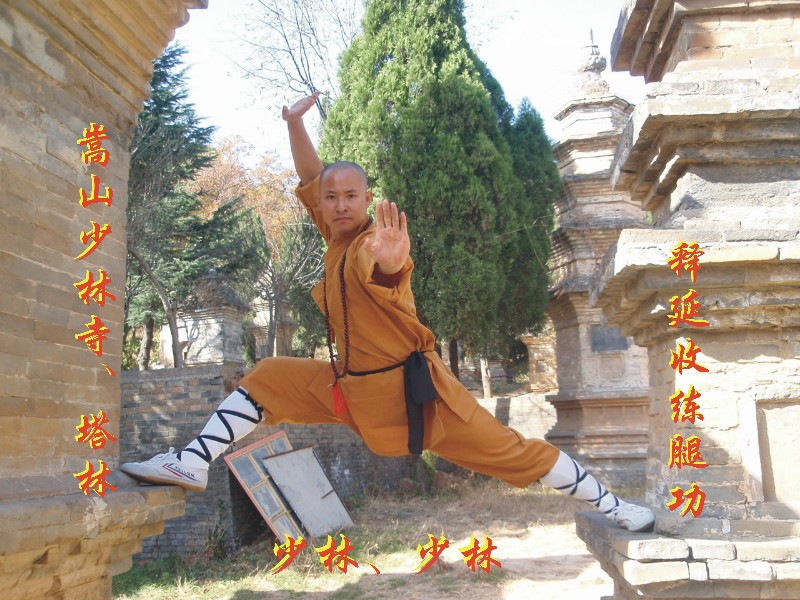 少林五行八法拳