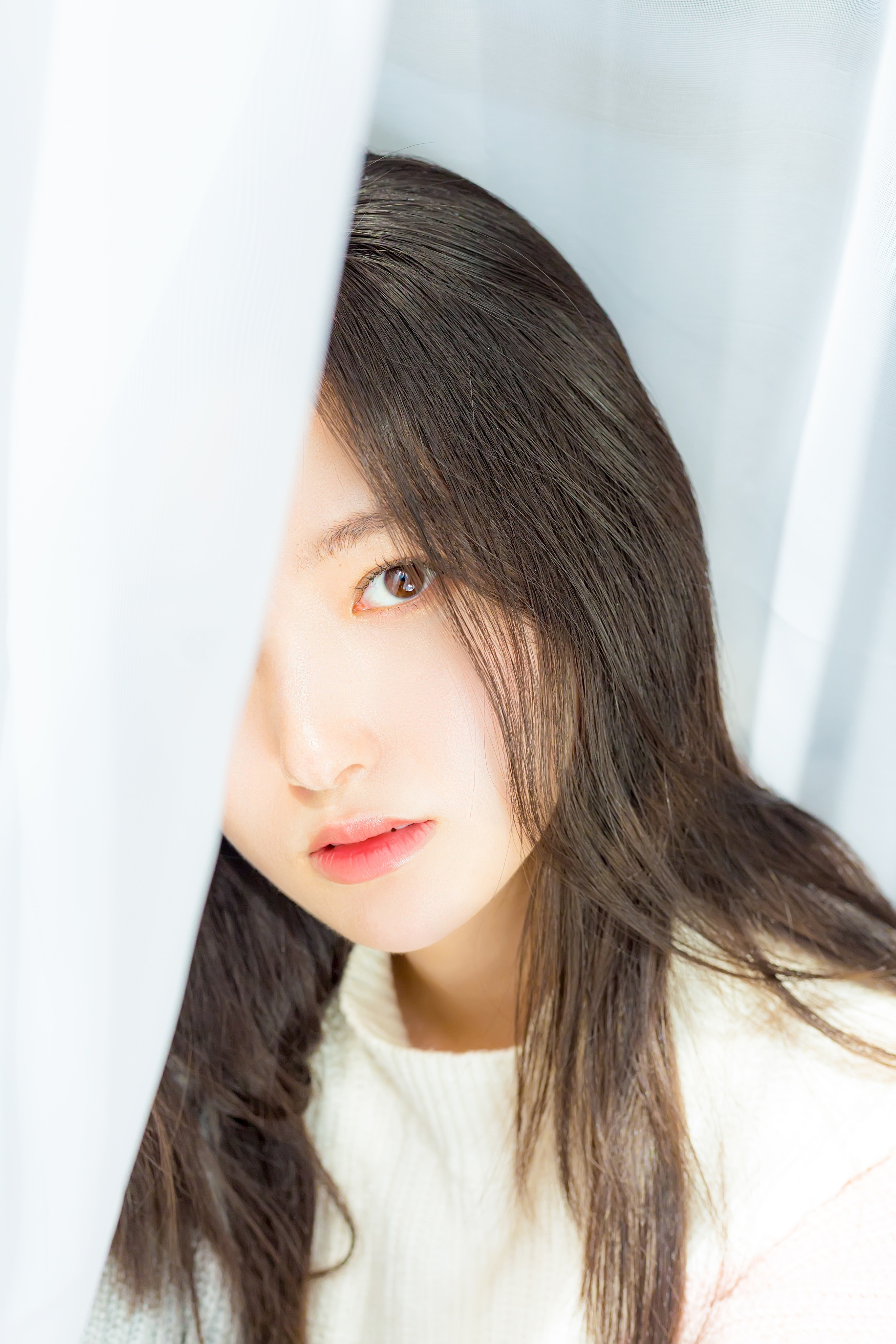 张晗