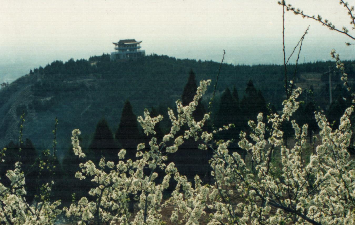 谷山森林公园