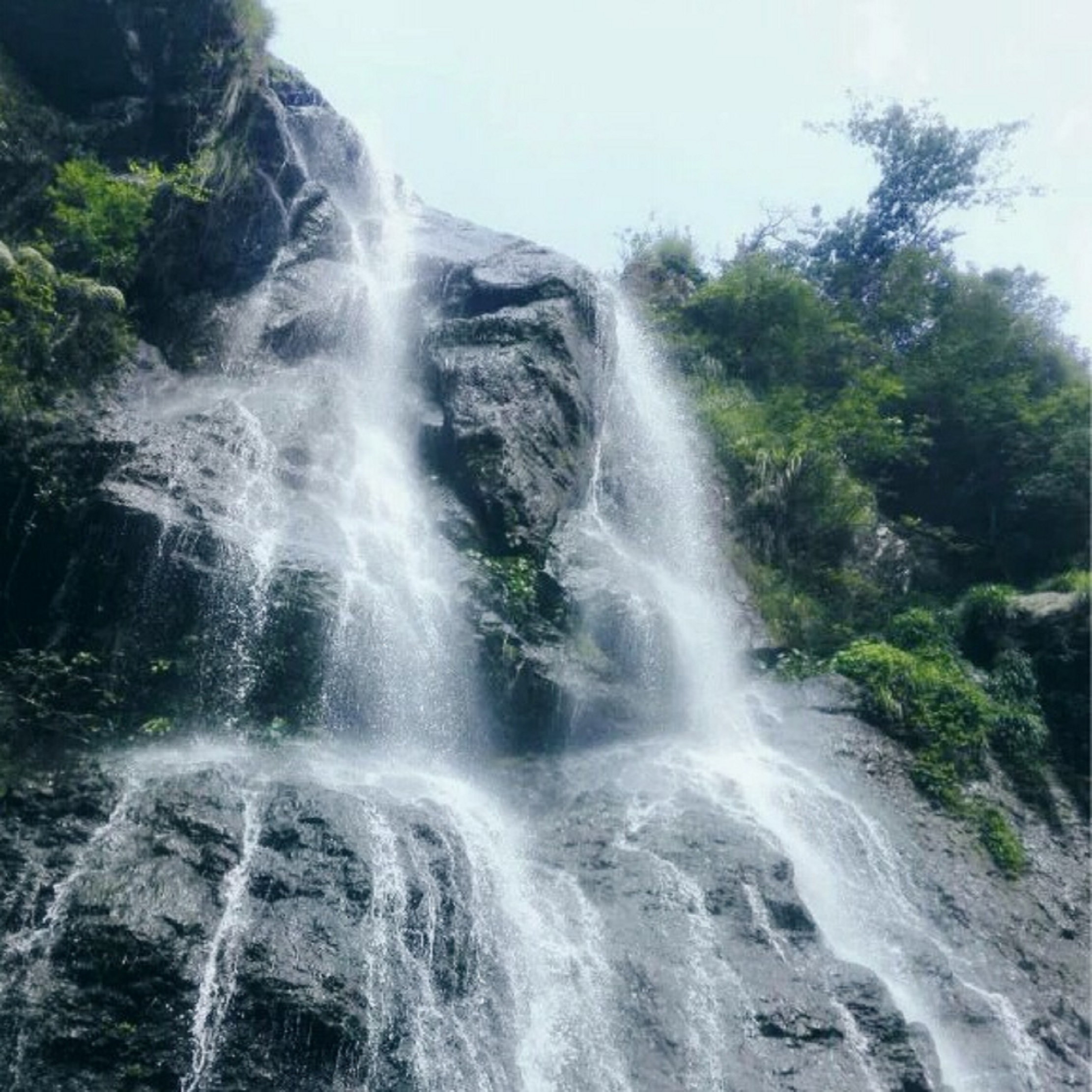 厦门天竺山森林公园