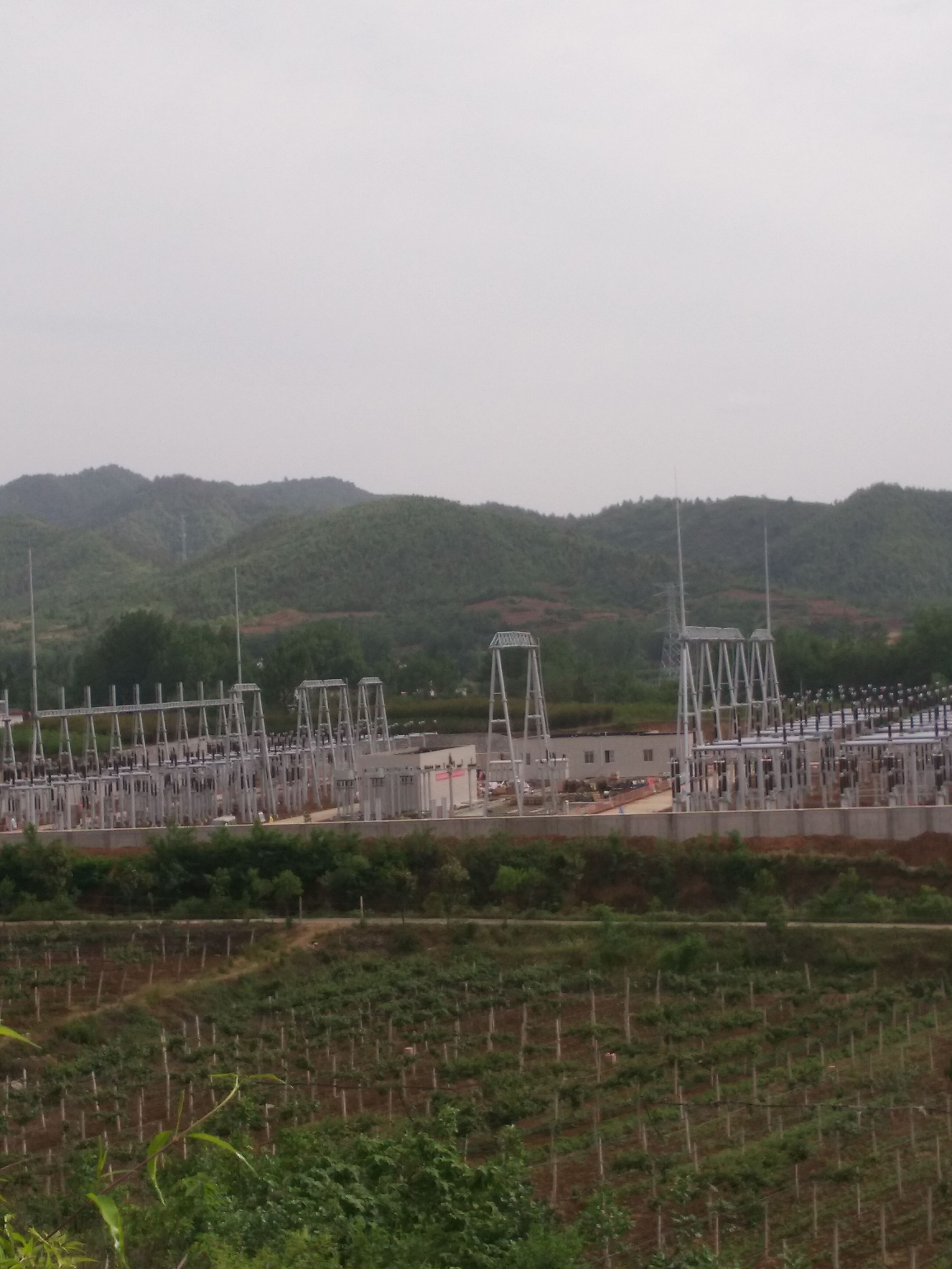  p data-id="gnf7ptx5gn">孔沟村作为西峡县五里桥镇下辖的行政村
