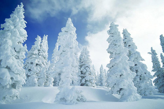 雪 自然现象 百度百科