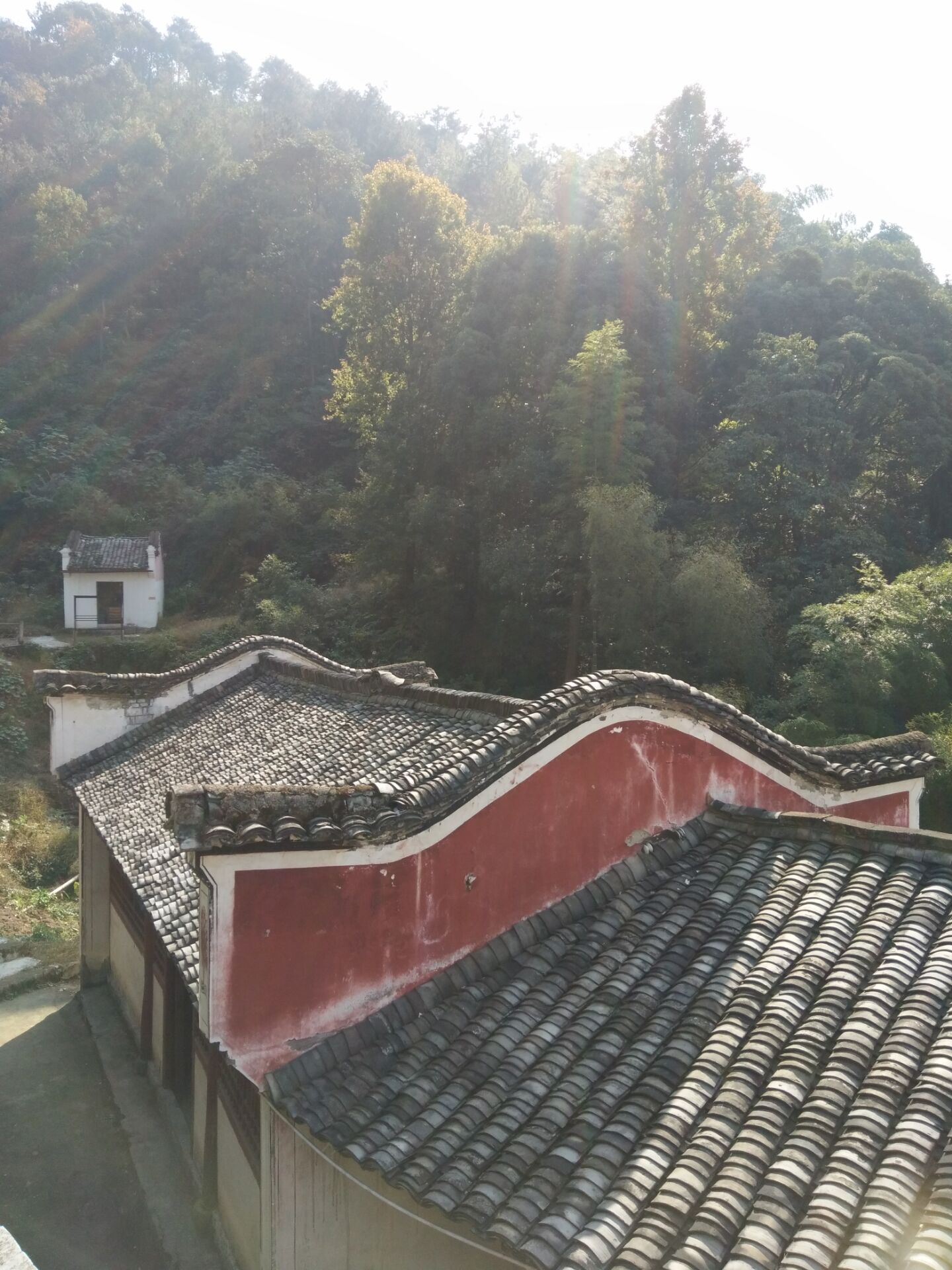  p>青山寺,位于浙江省诸暨市草塔镇青山水库东,亦名青山殿.