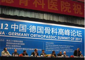 2012中国·德国骨科高峰论坛