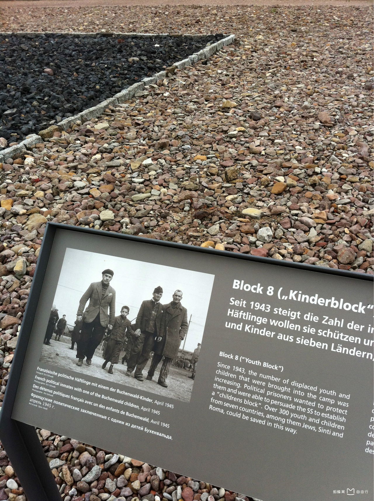 布痕瓦尔德集中营