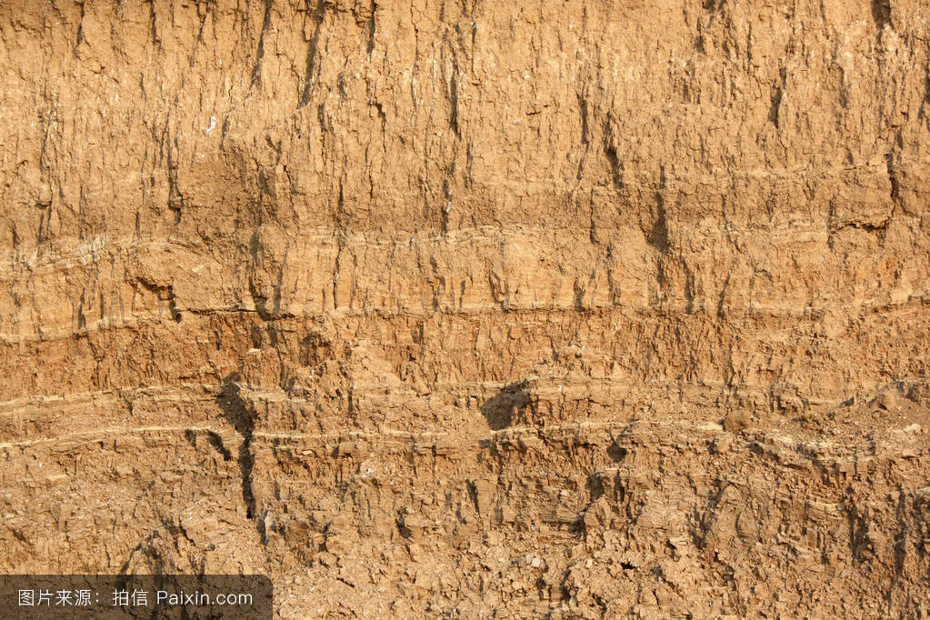 p>土壤扰动剖面(disturbed soil profile )是指被地表侵蚀堆积过程