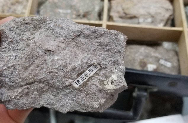  p>是一种常见的浅成岩,矿物成分与正长岩相似.