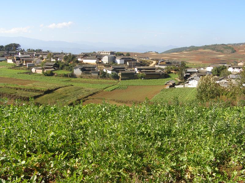  p>白山母村隶属云南省大理州剑川县甸南镇东南部,地处甸南镇南边