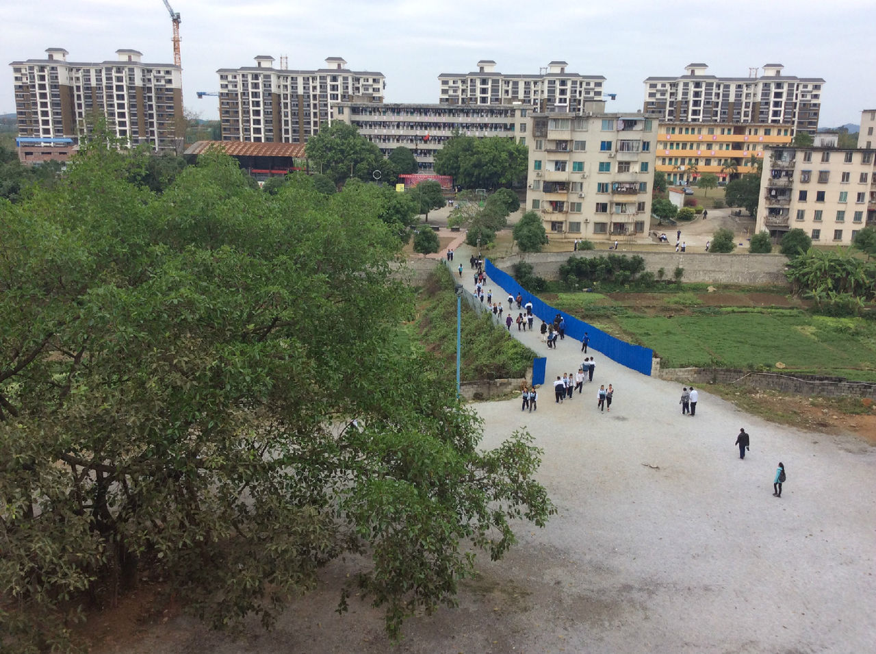 武鸣区民族中学