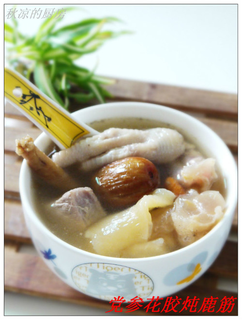 党参花胶炖鹿筋