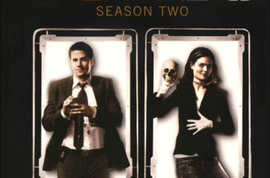 美国福斯广播公司(fox)2005年推出的罪案题材的电视连续剧.