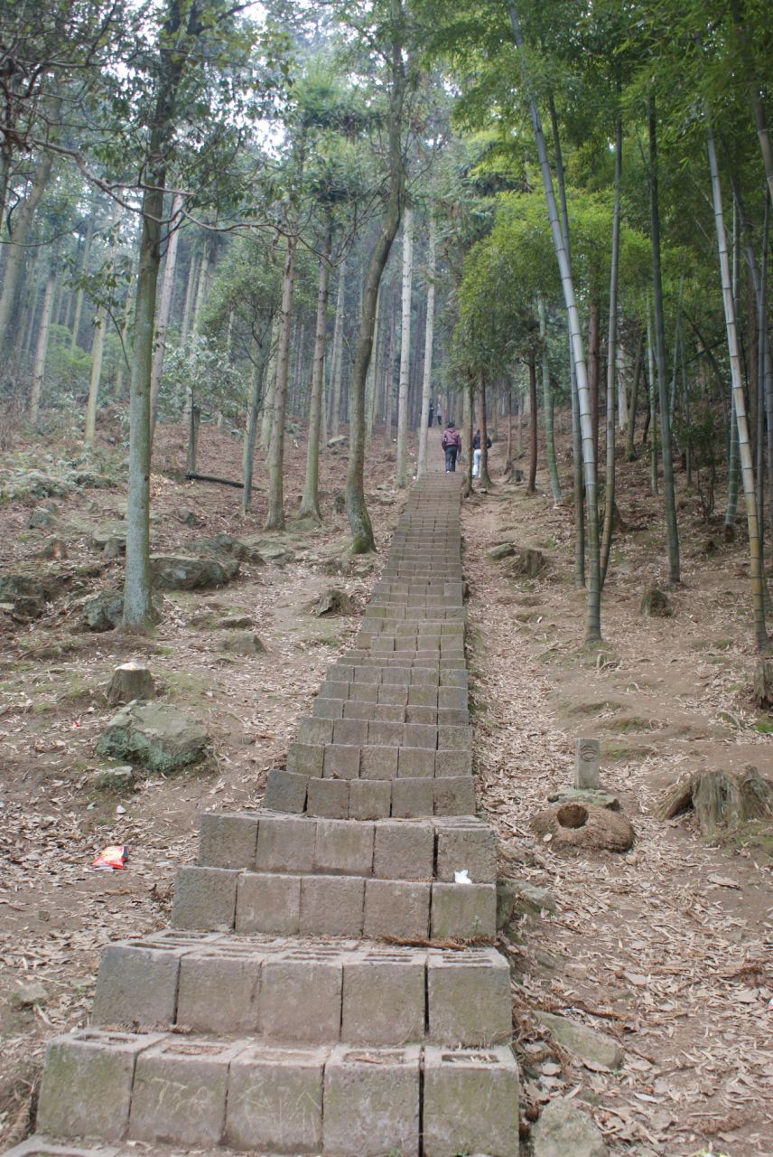 data-lemmaid="7735125">中坡国家森林公园 /a>位于湖南省怀化市北郊