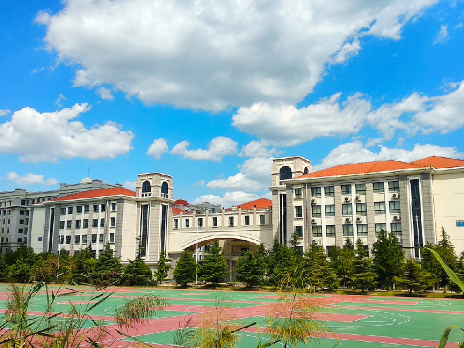 青岛港湾职业技术学院