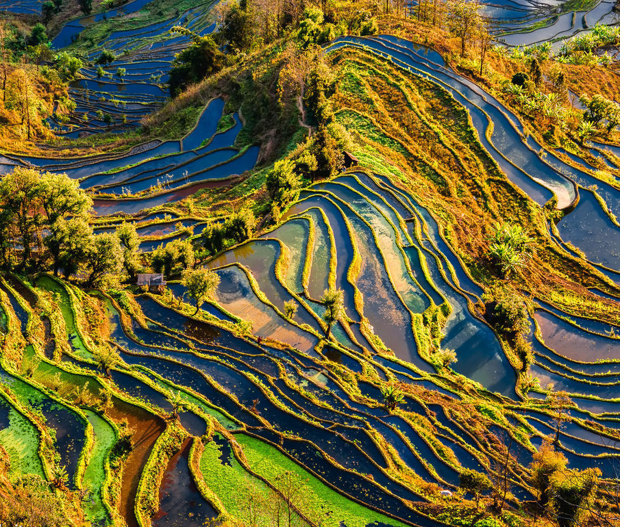 反坡梯田