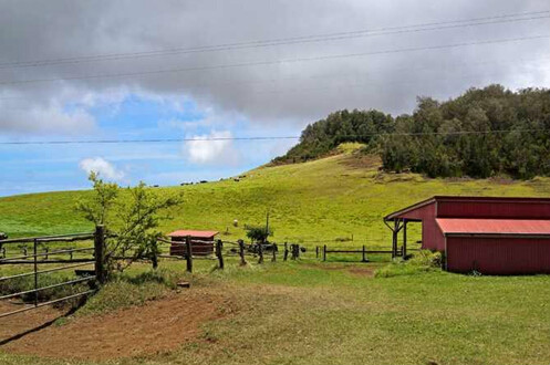 帕克牧场是美国最大的私人牧场,这个牧场自1848年开始经营