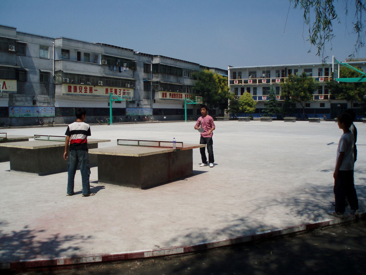 西平县柏城中学