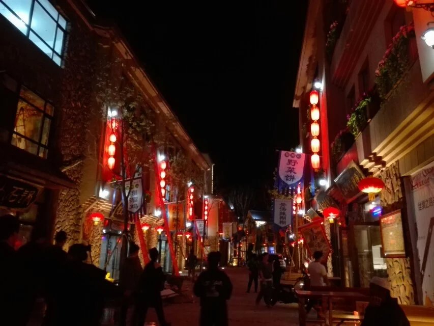 ">西夏区 /a>,地处 a target="_blank" href="/item/贺兰山/3800"