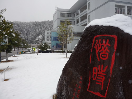 lemmaid="4387200">泰顺县第一中学 /a>,2009年12月更名)又称为泰一中