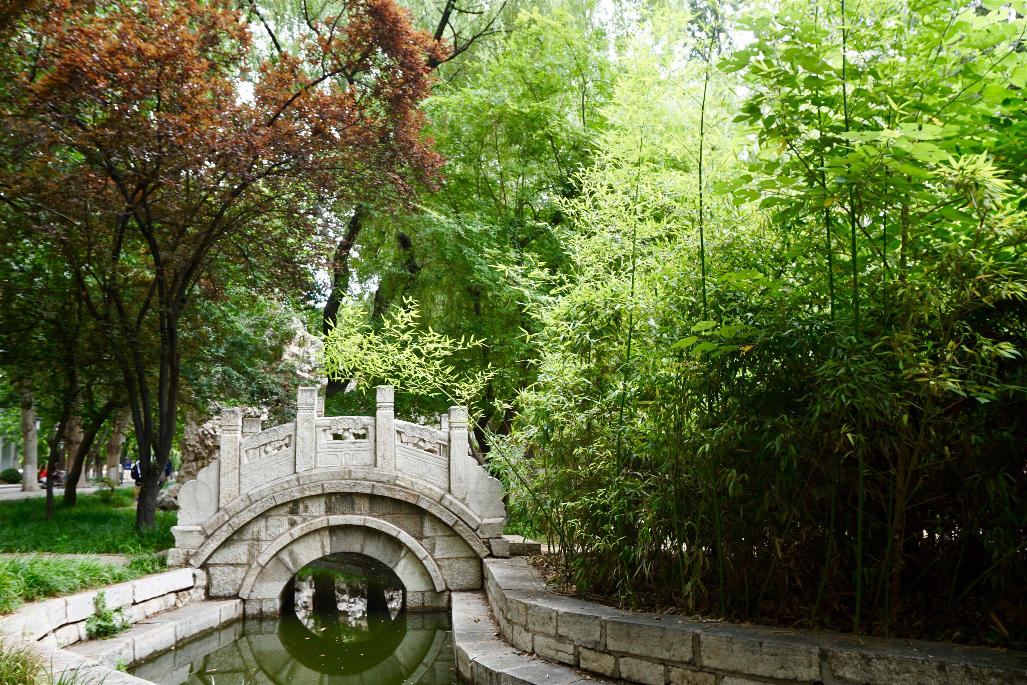 曲阜师范大学
