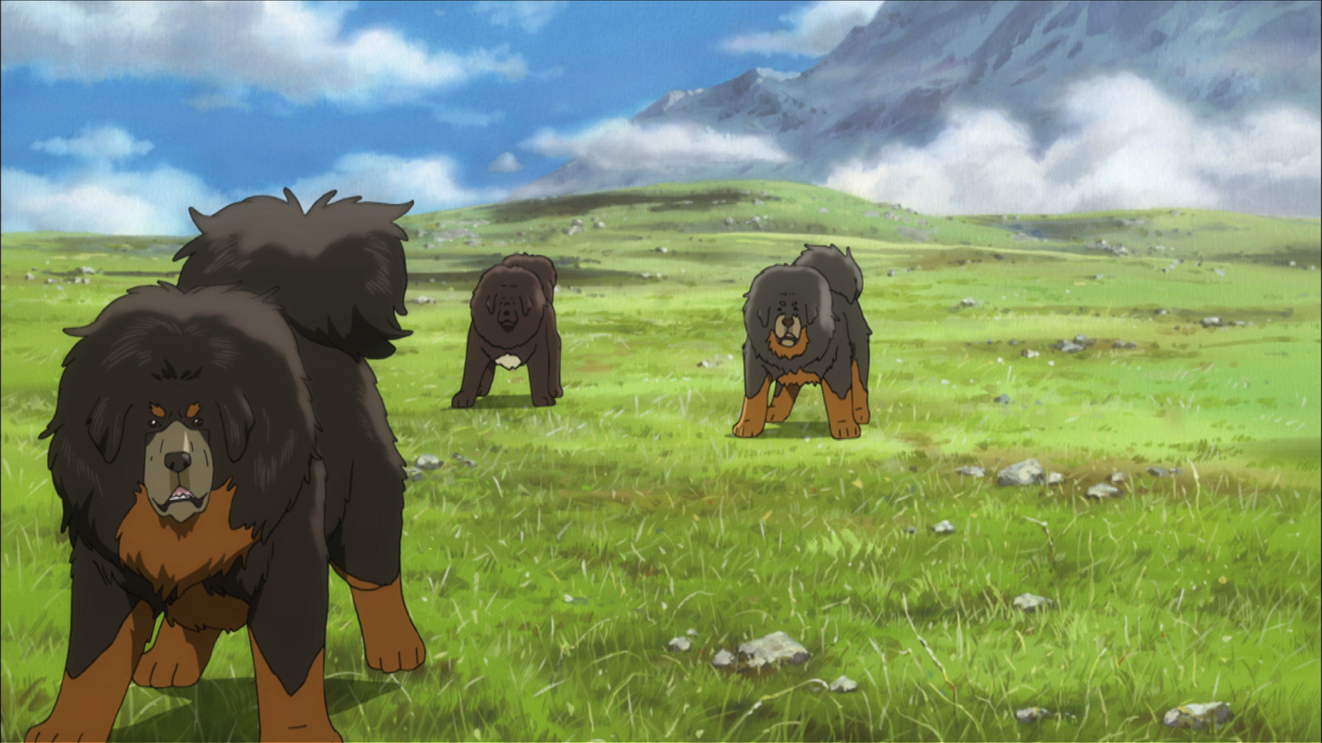  p>《藏獒多吉》是由中日首次合拍的一部动画冒险电影,由 a href="#"