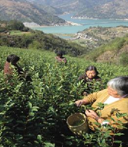 v01zc6">鹿木乡位于 a target="_blank" href="/item/瑞安市/560979"