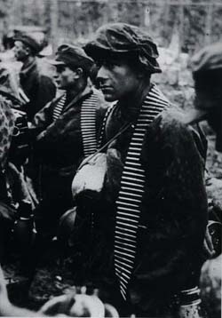 党卫军第6"北方"山地师