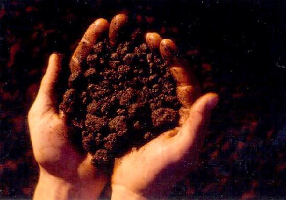  p>油砂(oil sand),亦称"焦油砂","重油砂"或"沥青砂".