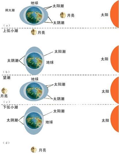 潮汐（在月球和太阳引力作用下形成的海水周期性涨落现象）_百度百科