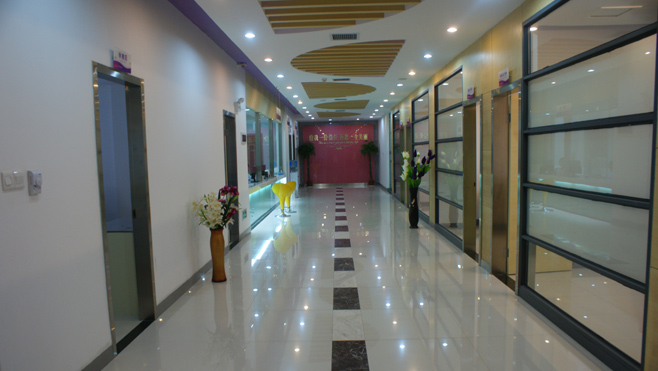 东方维纳斯整形美容集团