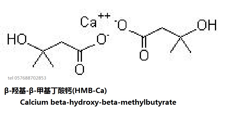 β-羟基-β-甲基丁酸钙(hmb-ca)