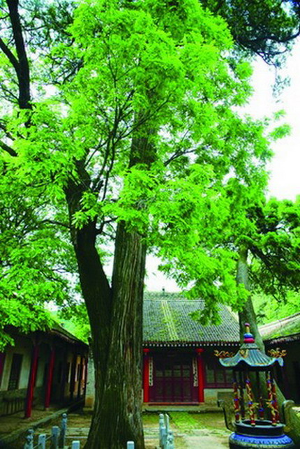 华州">华州 /a>区隶属 a target="_blank" href="/item/陕西/193811"