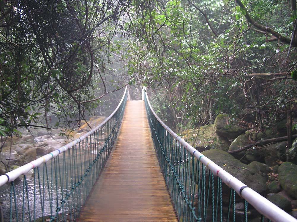  p>八寨沟地处广西 a target="_blank" href="/item/十万大山/6346313