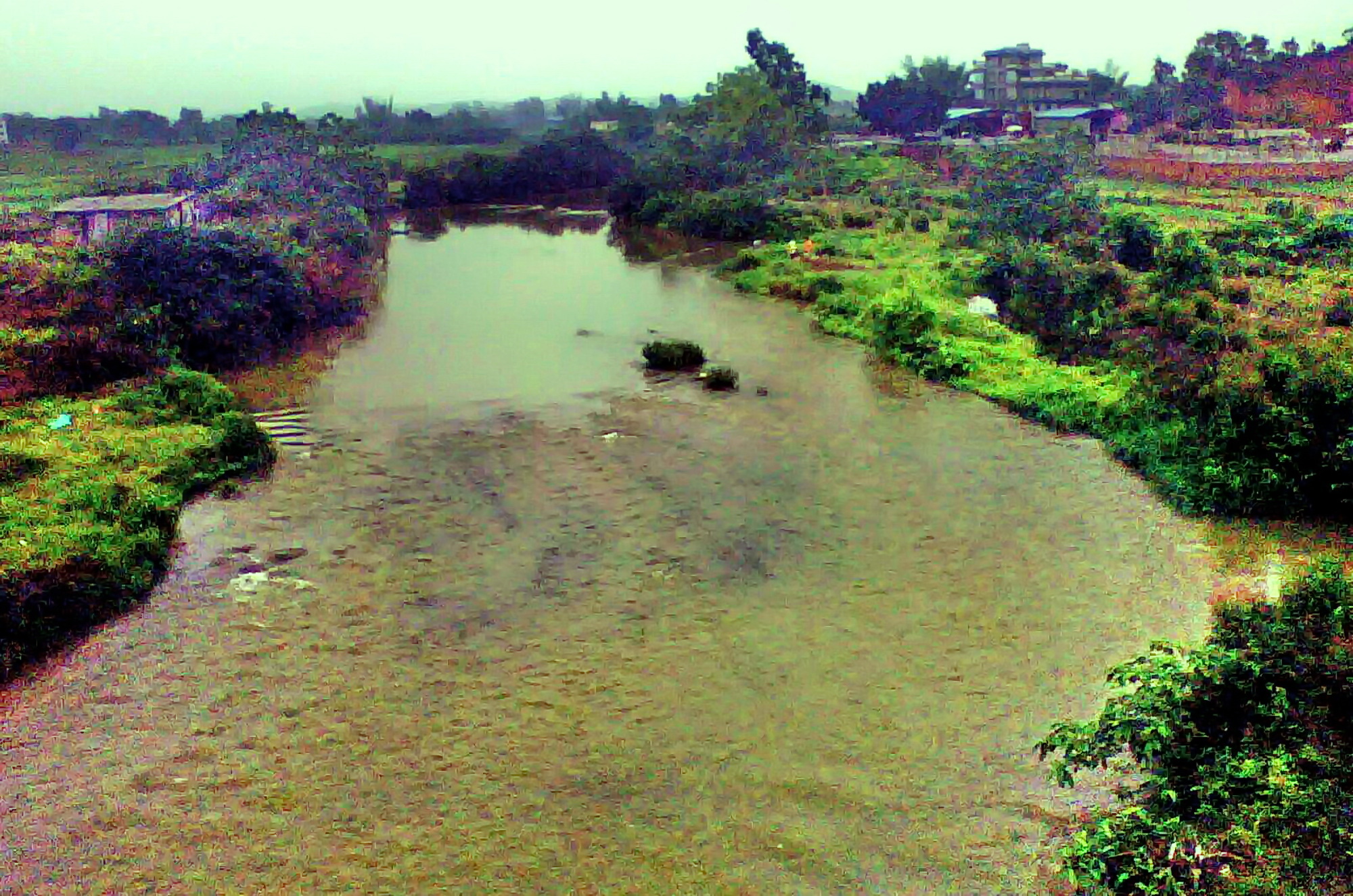 广西博白县龙潭镇