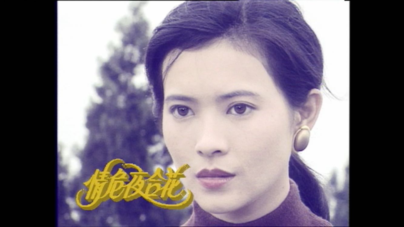 " href="/item/蓝洁瑛">蓝洁瑛 /a>,曾伟权,朱洁仪,李国麟,林其欣主演