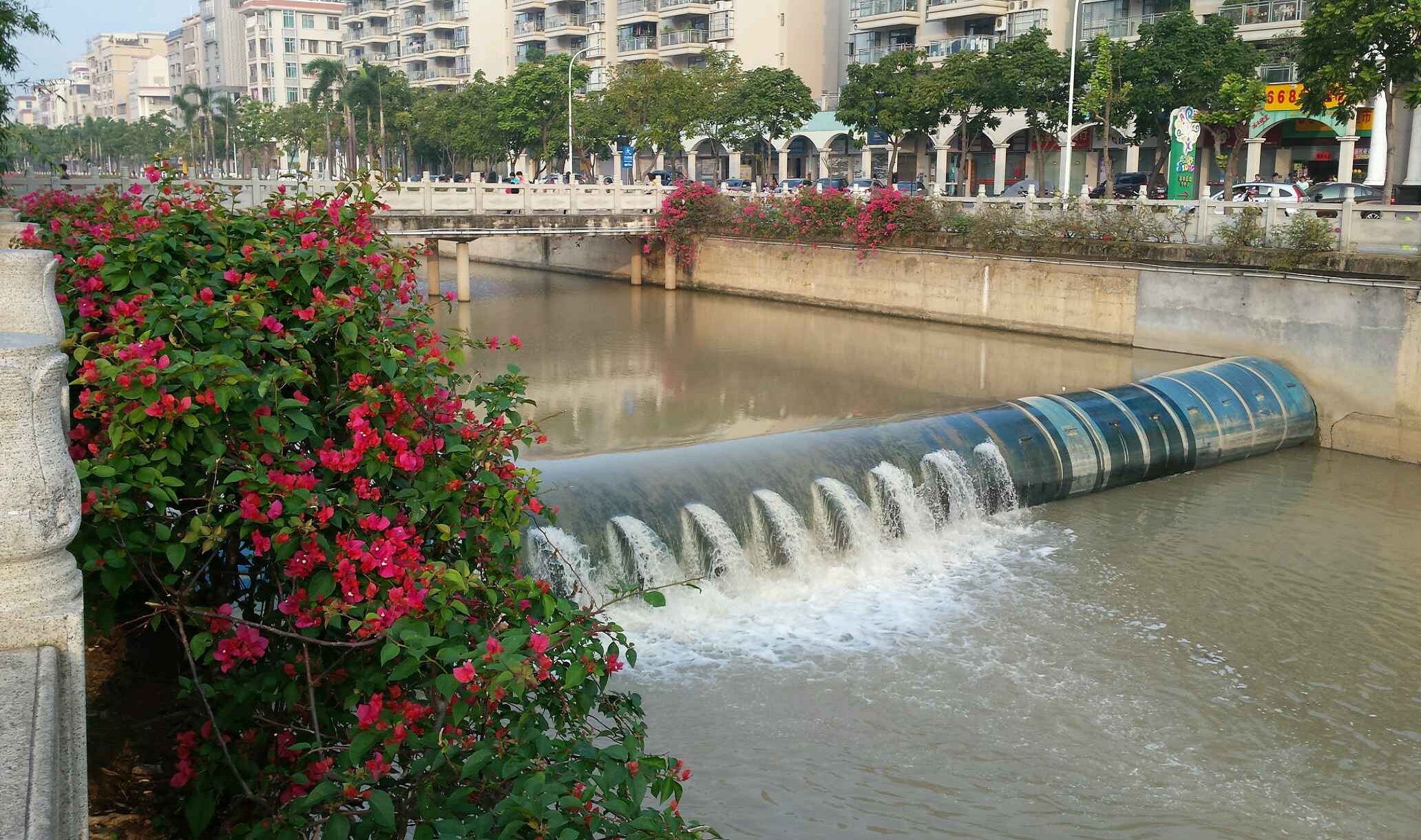  p data-id="go0boky5pn">北桥公园位于广东省湛江市 a target="