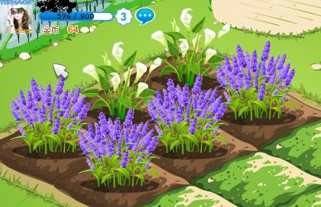 data-lemmaid="146945">qq空间 /a>网游中,农场上种植的植物,有白菜