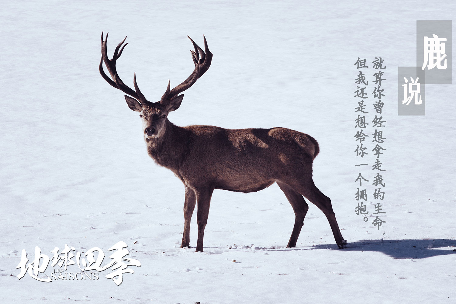  p>《地球四季》是由法国盖拉特电影公司制作的纪录片,由法国导演雅克