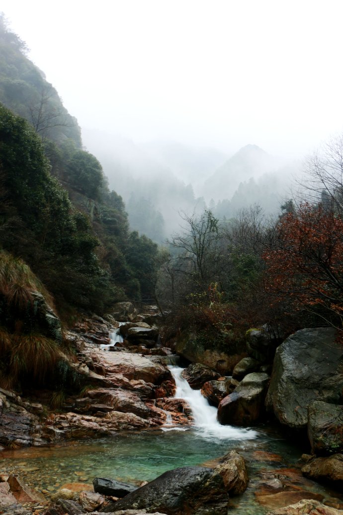 莲花洞森林公园