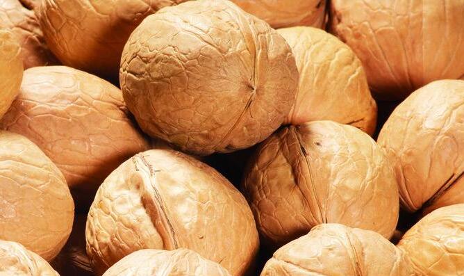  p>胡桃(学名: i>juglans regia  /i> l.