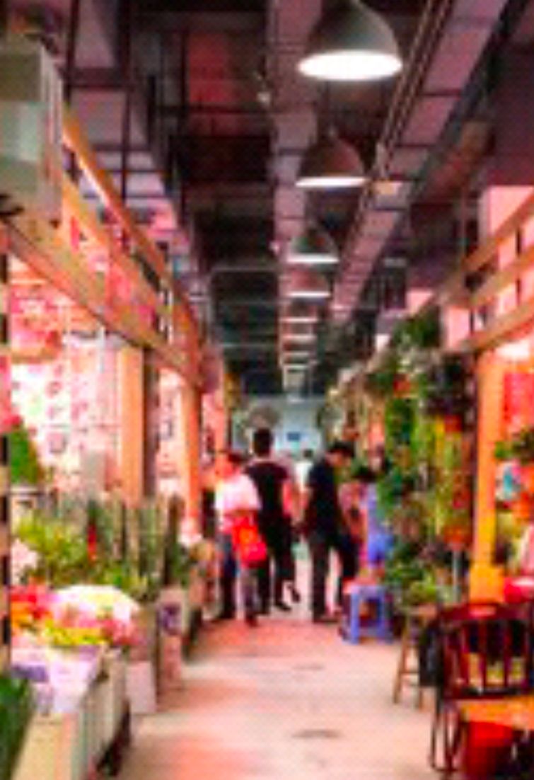  p>北市场花鸟鱼市场是一个花鸟市场,位置是沈阳和平区北市一街.