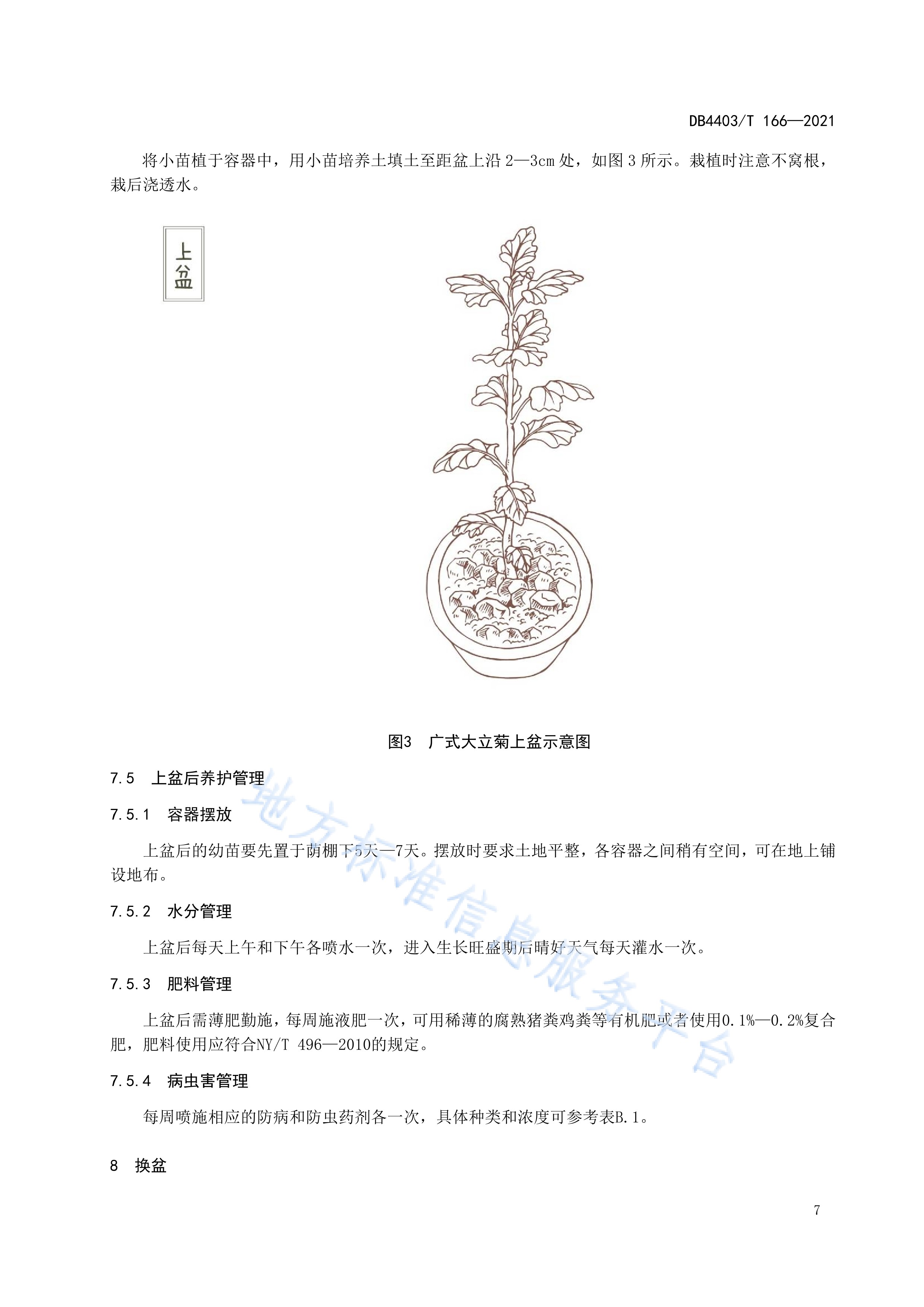  p>《广式大立菊栽培技术规程》(db4403/t 166-2021)是2021年7月1日