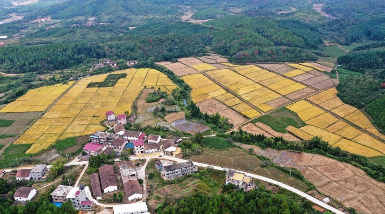 湖坪乡