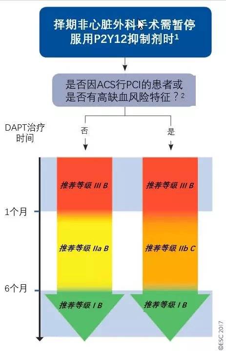 DAPT_百度百科