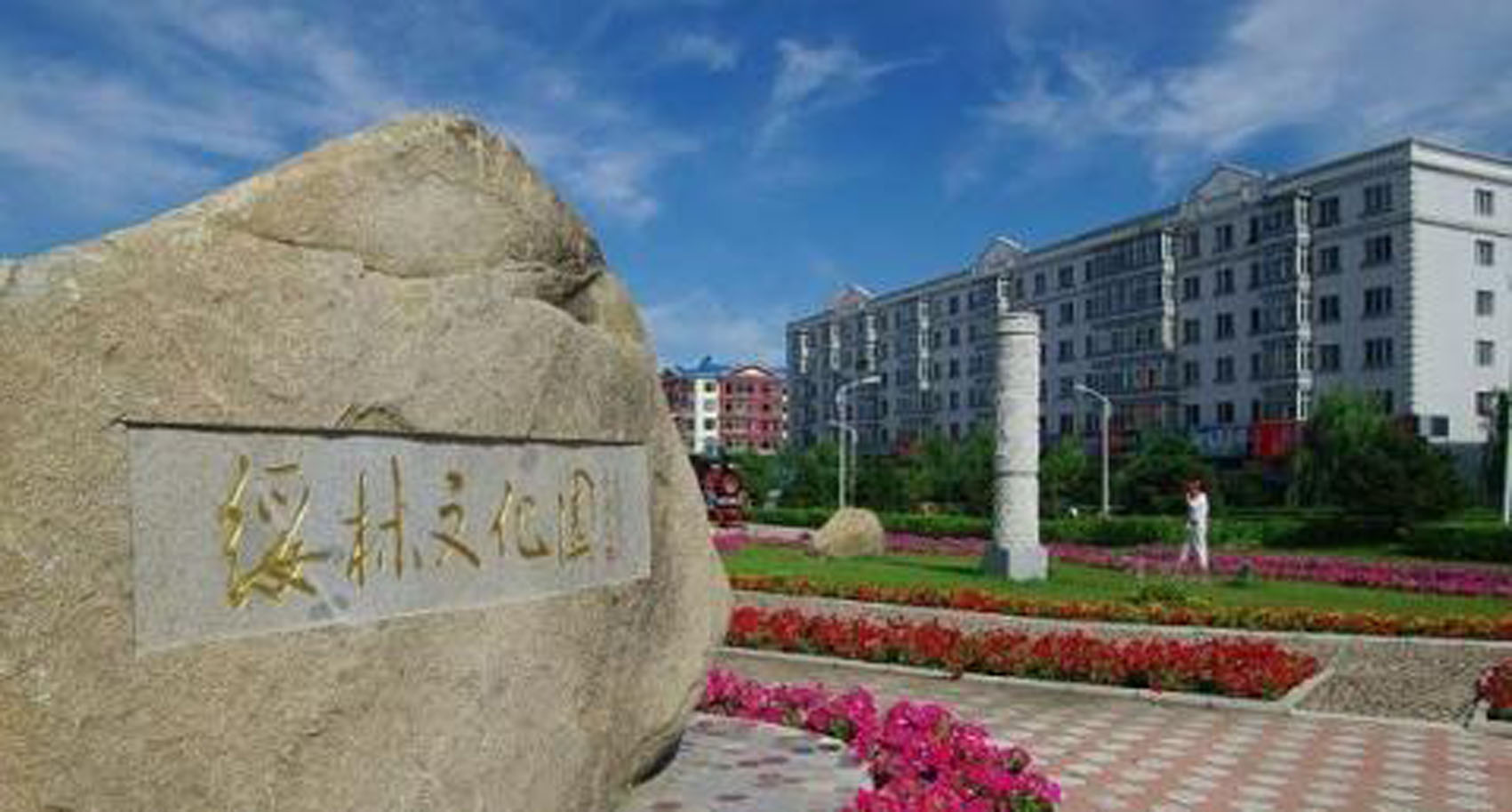 绥棱县高端网站建设_(绥棱县高端网站建设项目)