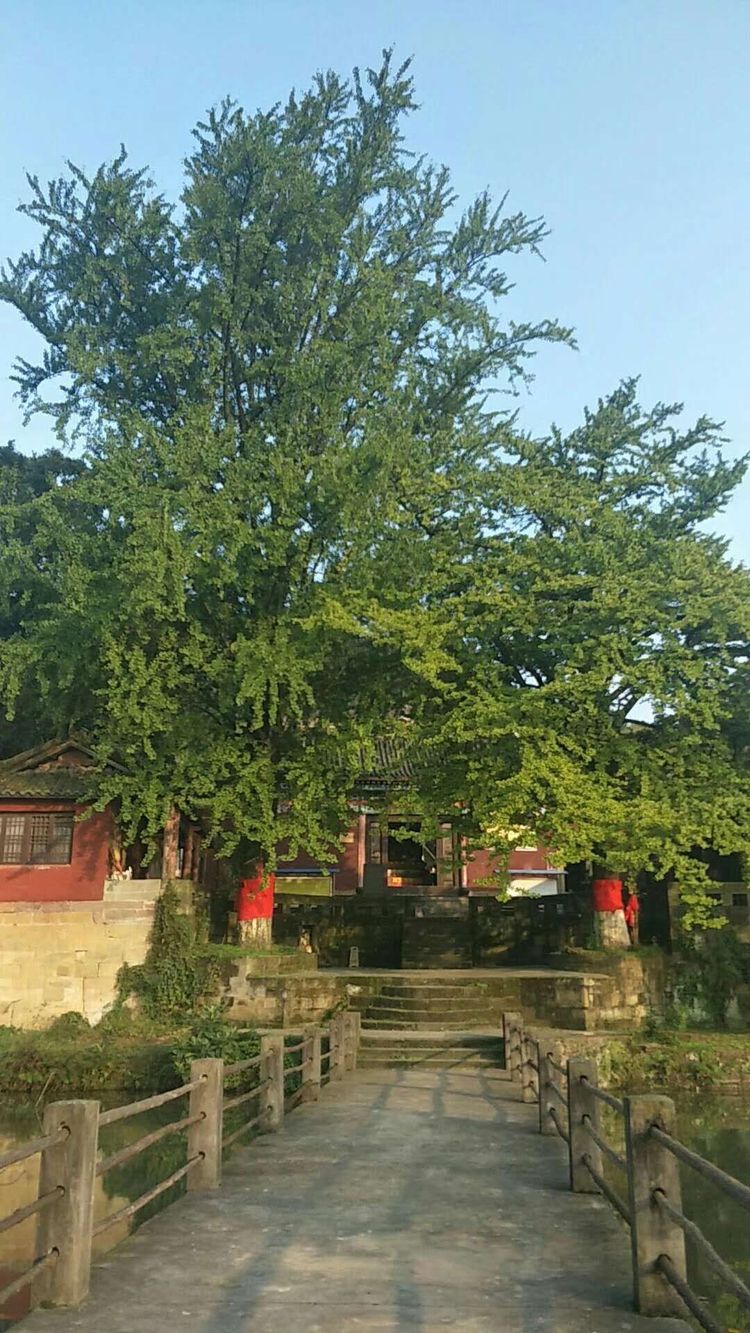  p>青杠街道,隶属于重庆市璧山区,地处 a target="_blank" href="