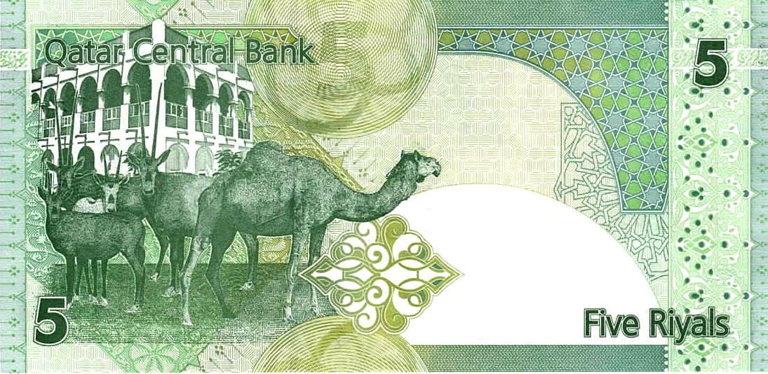 卡塔尔货币(卡塔尔货币兑换人民币)