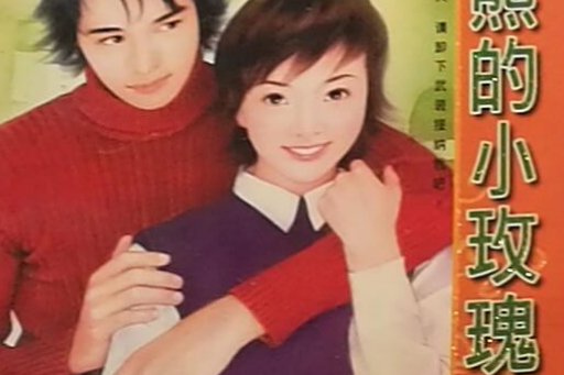 无敌熊的小玫瑰