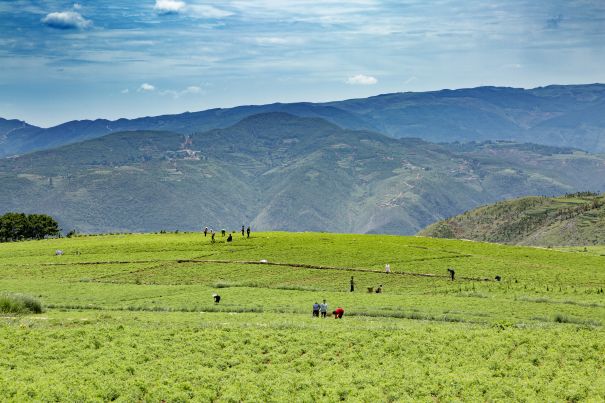  p data-id="swmhsclla3ks">海拉镇,属于贵州省毕节市威宁彝族回族