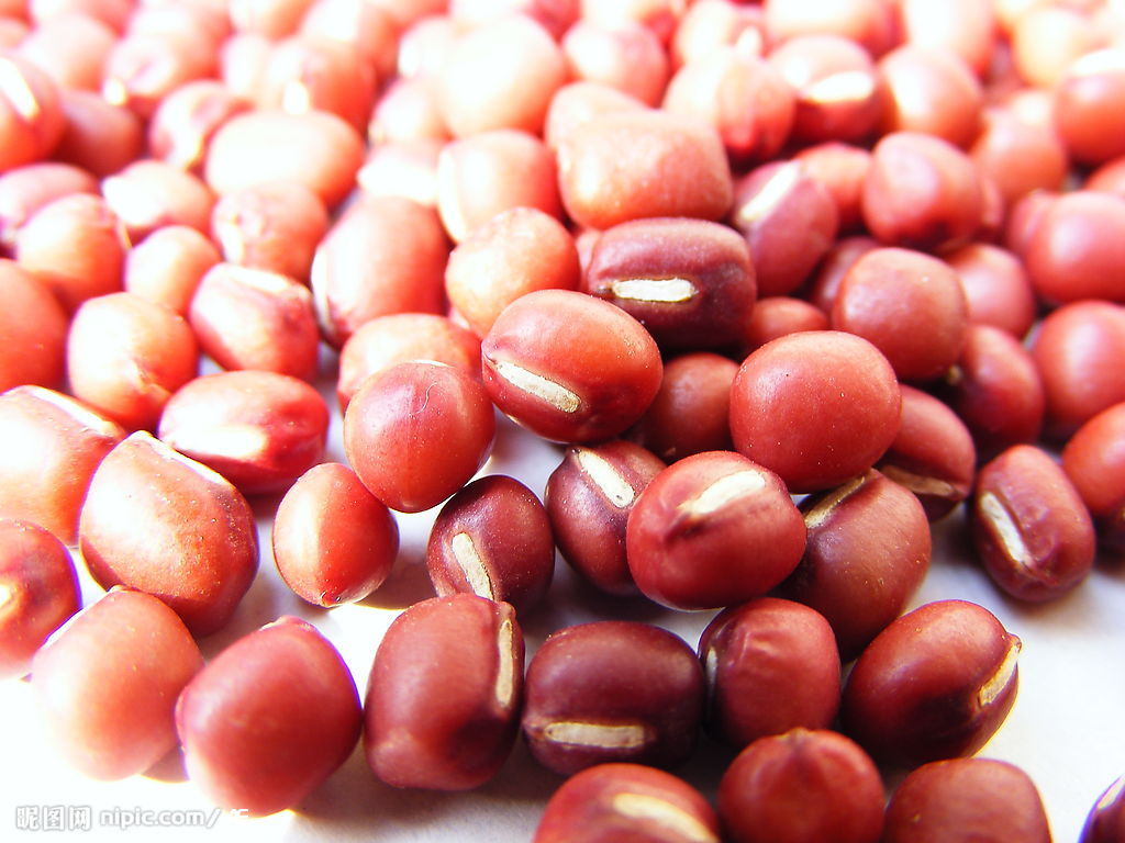  p>赤豆(学名: i>v i>i /i> /i> i>gna angularis   /i>(willd.