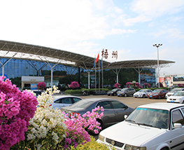 广西梧州西江机场